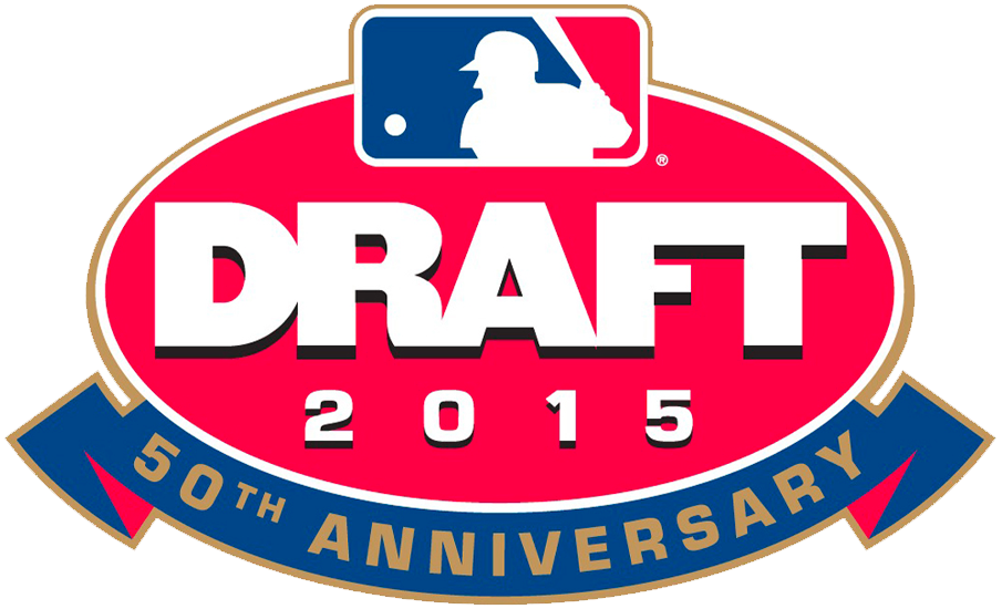 MLB Draft 2015 Primary Logo DIY iron on transfer (heat transfer)